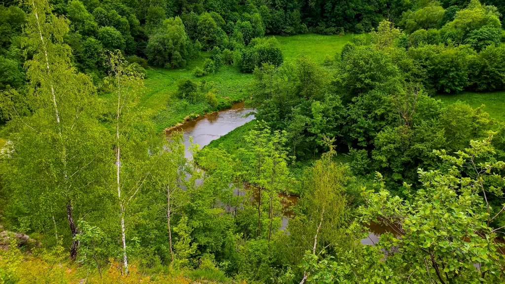 Przełom Wisłoka