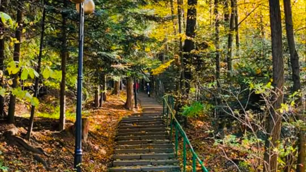 Zdrój Beskid Niski